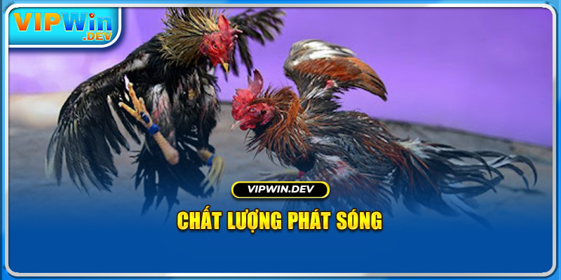 Chất lượng phát sóng