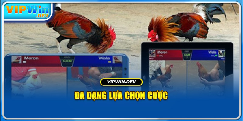 Đa dạng lựa chọn cược tại CQ9 Đá Gà