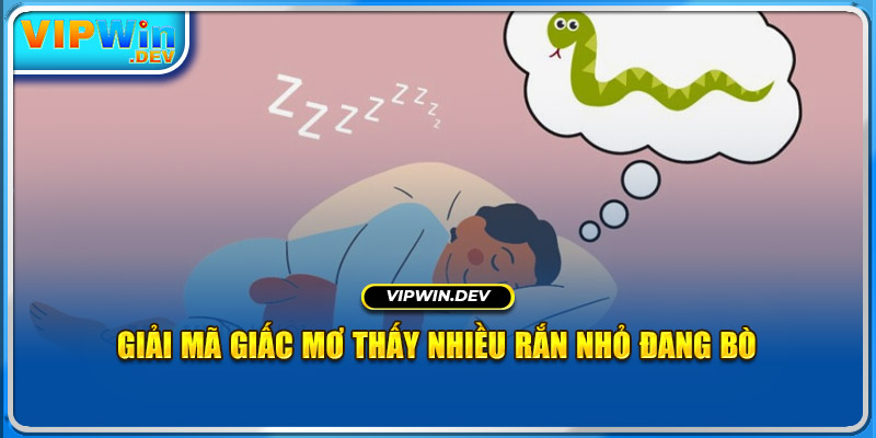 Giải mã giấc mơ thấy nhiều rắn nhỏ đang bò