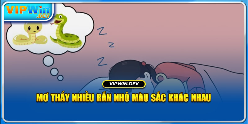 Mơ thấy nhiều rắn nhỏ màu sắc khác nhau 