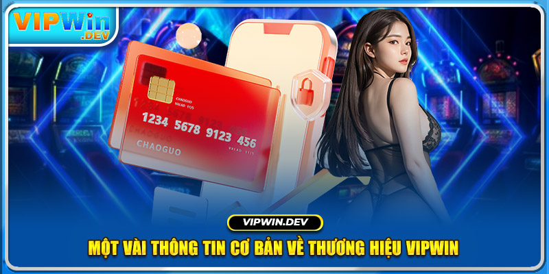 Một vài thông tin cơ bản về thương hiệu Vipwin 