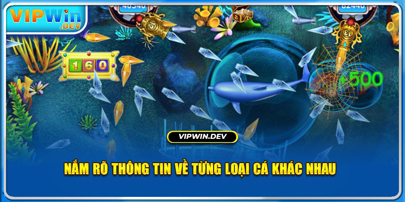 Nắm rõ thông tin về từng loại cá khác nhau 