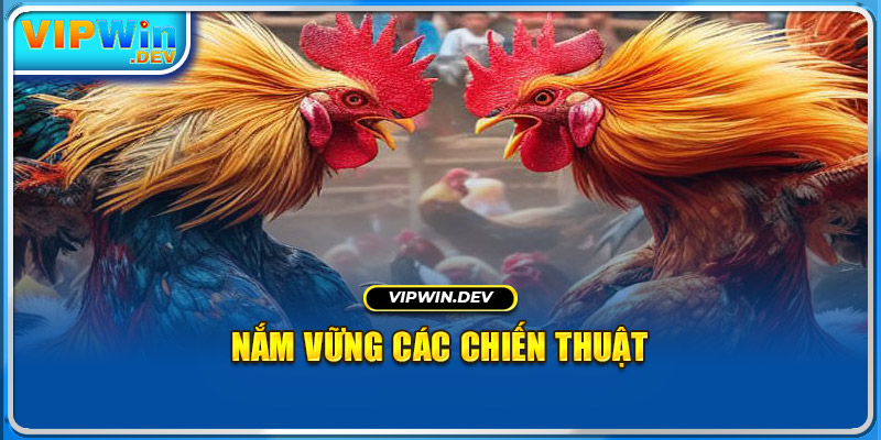 Nắm vững các chiến thuật